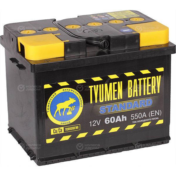 Автомобильный аккумулятор Tyumen Battery Standard 60 Ач прямая полярность L2 в Москве